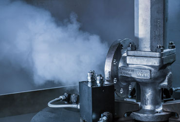 Safety valves from LESER