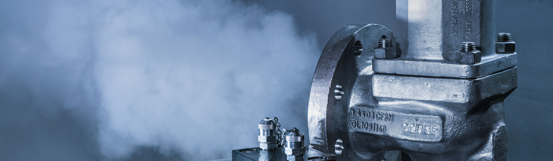 Safety valves from LESER