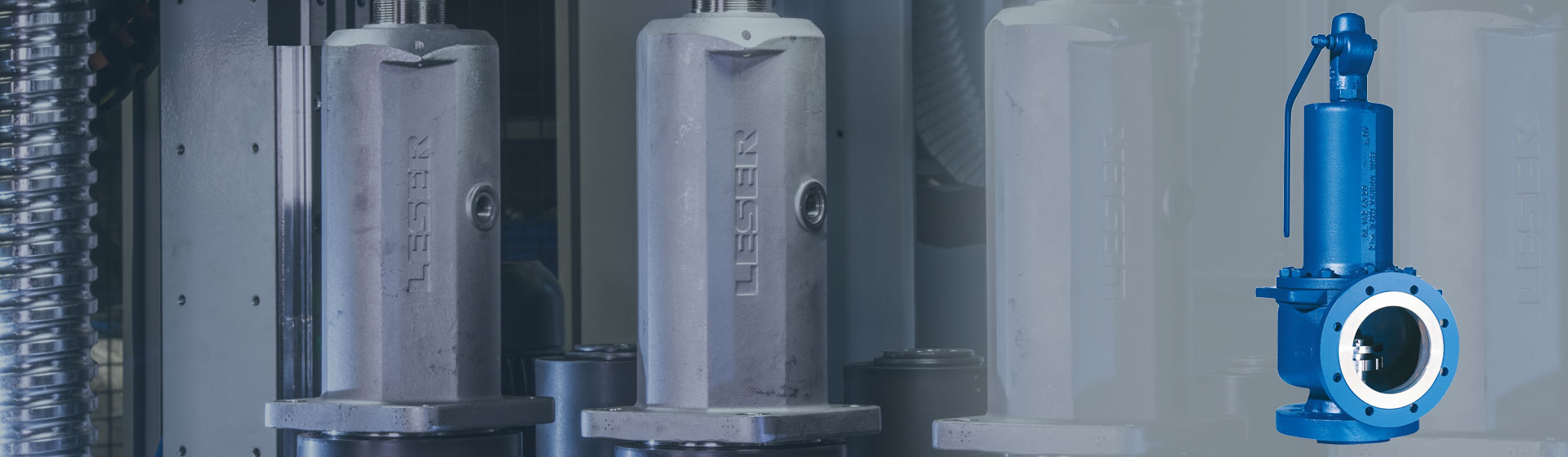 LESER API Safety Valve API Safety Valve from LESER
