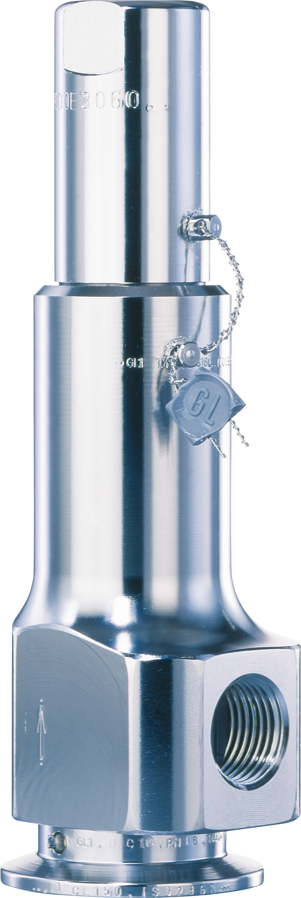 LESER Clean Service Safety Valve Type 481