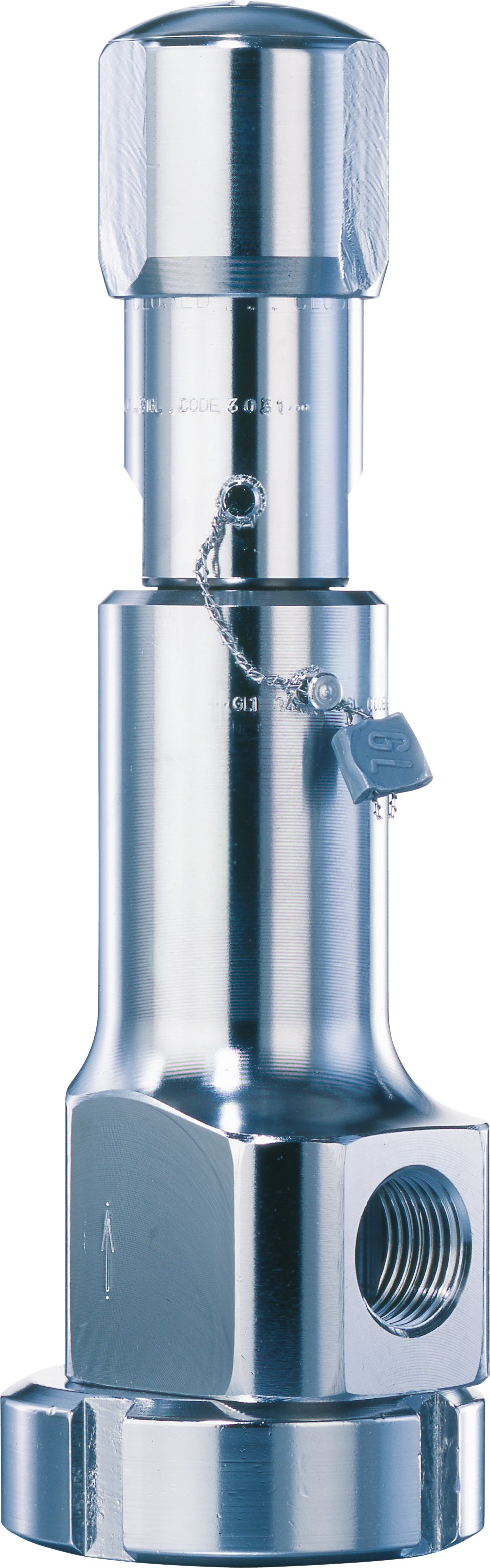 LESER Clean Service Safety Valve Type 481