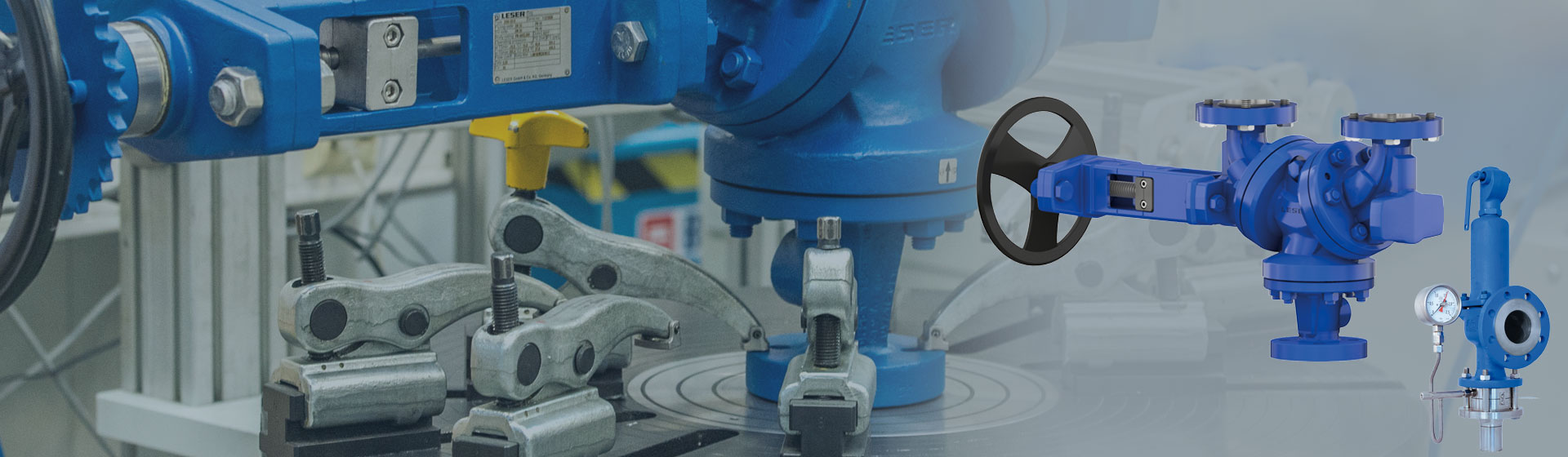 Best Availability Safety Valve from LESER