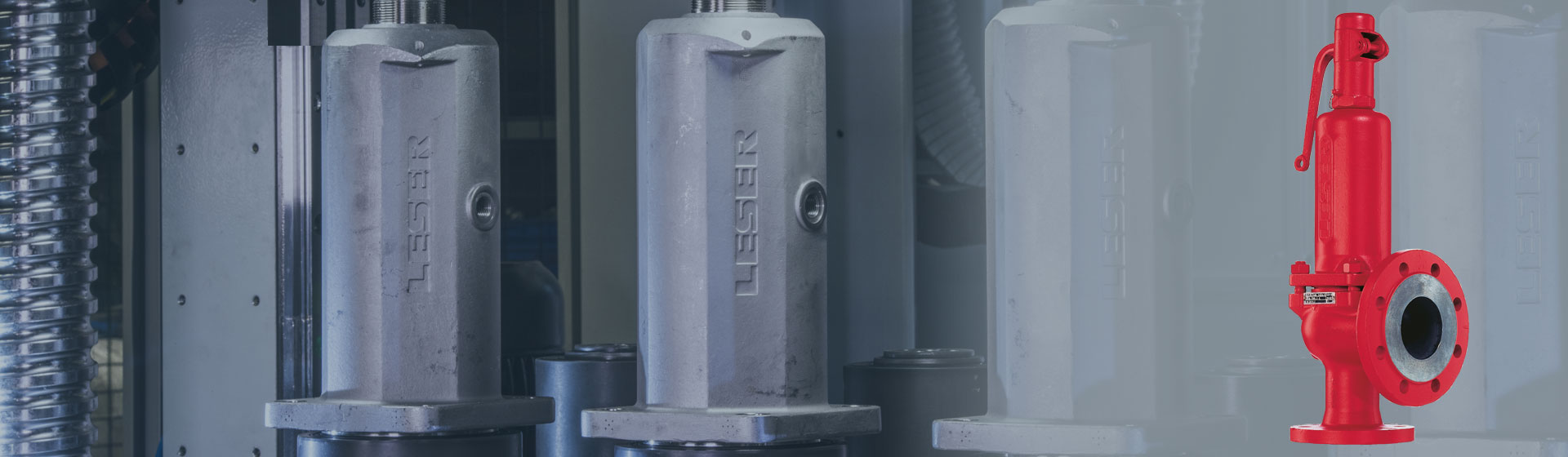 S&R Safety Valve from LESER