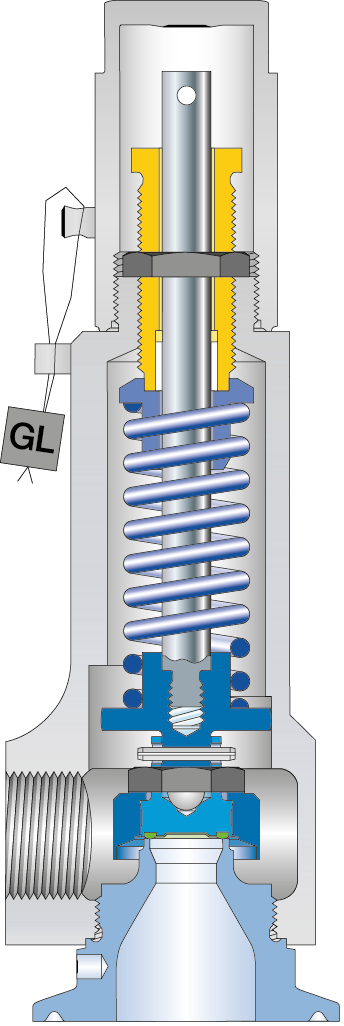 Clean Service Sécurité valve de lecture type   481 Vue en coupe