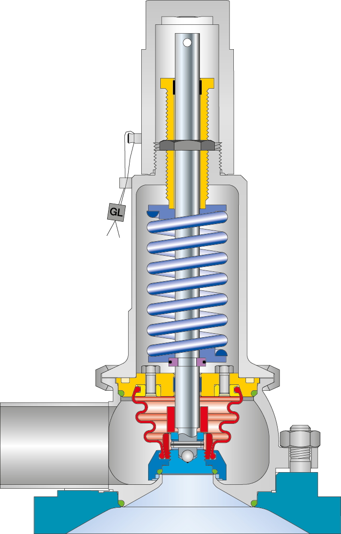 LESER Clean Service Safety Valve Type 484 Cutting image