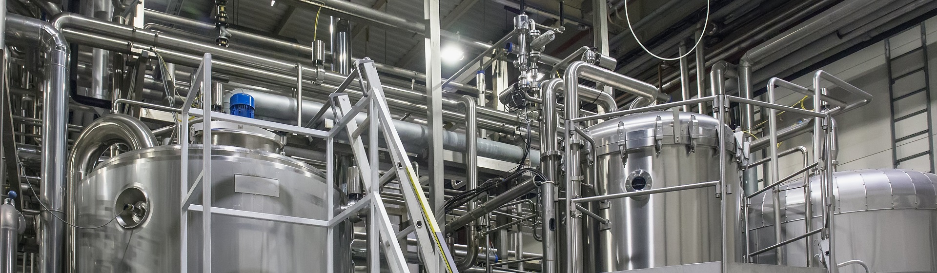 LESER safety valves for the Food and Beverage Industry