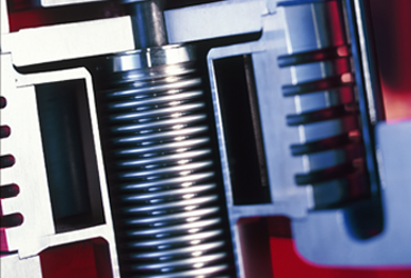 Options for safety valves from LESER