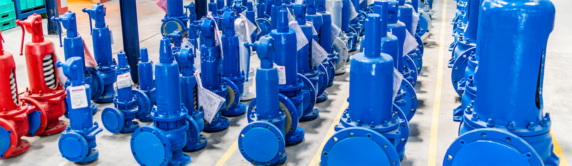 LESER_India Safety valve