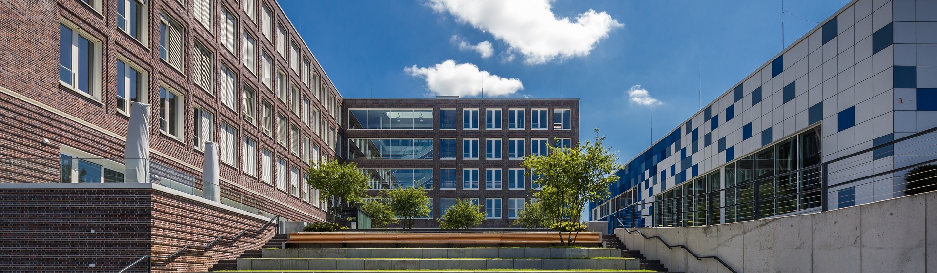 LESER - The Company The Company LESER