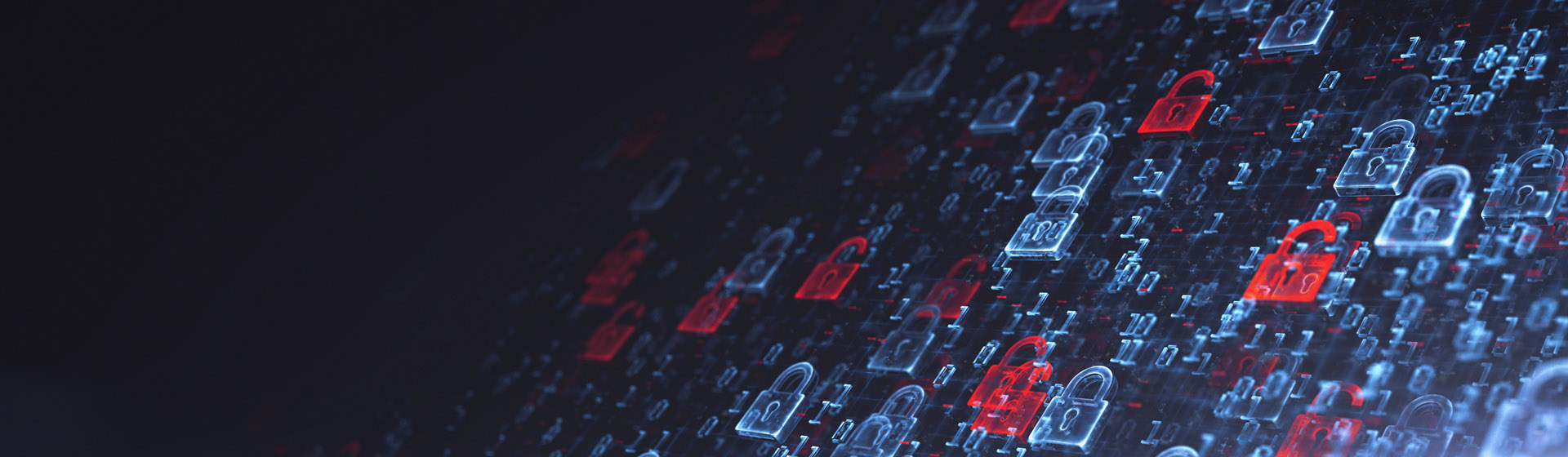 LESER Datenschutz LESER Privacy